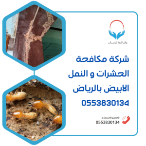 مكافحة الحشرات والنمل الابيض بالرياض